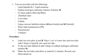 Biology practicals kcse 2026 predictions