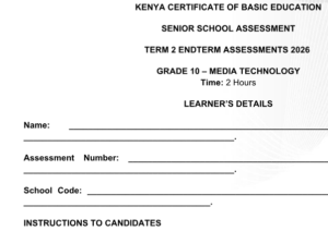 Grade 10 media technology exams
