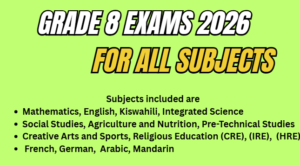 grade 8 exams for all subjects