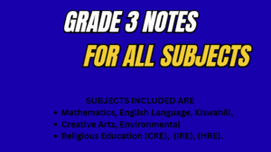 Grade 3 notes