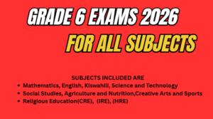 grade 6 exam for all subjects