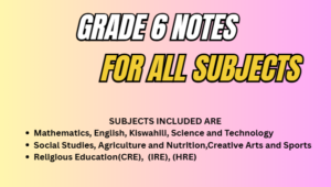 grade 6 notes for all subjects