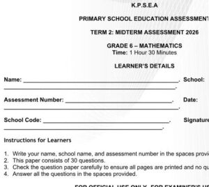 grade 6 mid term 2