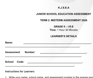 grade 9 IRE exams
