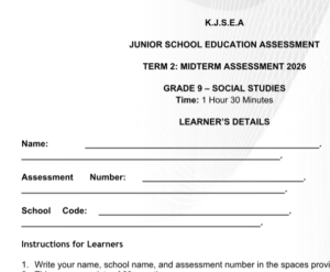 grade 9 social studies