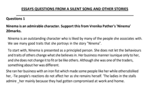 silent song essays 2026