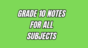 grade 10 notes 2026