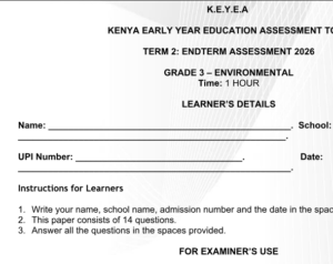 grade 3 exams for all subjects