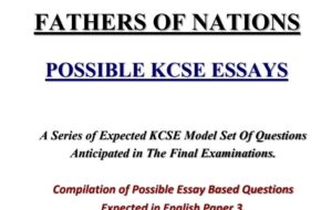 Fathers of Nation Essay questions and answers