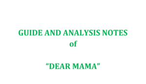 Dear mama guide notes Grade 10
