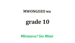 Mlemavu sio mimi notes mwongozo