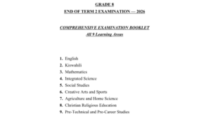 Grade 8 exam 2026 full set
